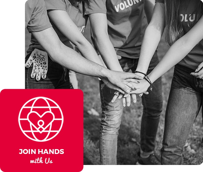 Elysium Foundation Volunteer